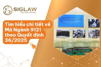 Mã Ngành 9121 hoạt động bảo tàng và sưu tập theo Quyết định 36/2025