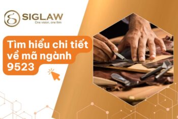Mã ngành 9523 Sửa chữa, bảo dưỡng giày, dép, hàng da và giả da