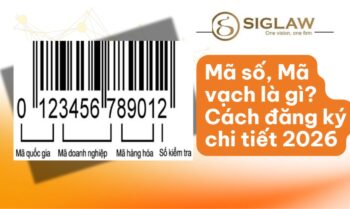 Mã số, Mã vạch là gì? Hồ sơ, Thủ tục đăng ký & Lợi ích