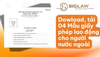 Dowload, tải 04 Mẫu giấy phép lao động [Mới nhất 2026]