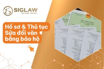 Sửa đổi văn bằng bảo hộ Nhãn hiệu: Hồ sơ & Thủ tục [Mới 2026]