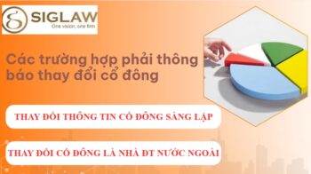 Thay đổi cổ đông trong công ty cổ phần: Hồ Sơ & Thủ tục Chi tiết