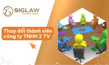 Thay đổi thành viên công ty TNHH 2 TV trở lên: Hồ sơ & Thủ tục Mới nhất