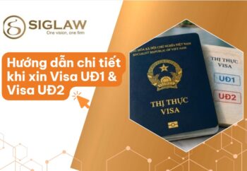 VISA UĐ1 & UĐ2: Điều kiện, Hồ Sơ & Thủ tục cấp Thị Thực