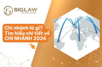 Chi nhánh: Có tư cách pháp nhân & Ký hợp đồng không? [2026]