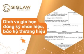 Dịch vụ xin gia hạn giấy chứng nhận đăng ký nhãn hiệu Từ 3tr