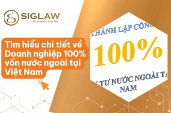 Doanh nghiệp 100% vốn nước ngoài là gì? [Chi tiết A-Z 2026]