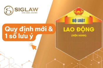Luật Lao Động mới nhất 2026: Quy định mới & 1 Số Lưu ý