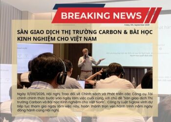 Ngày 5: Hội nghị Chính sách và Phát triển các Công cụ Tài chính