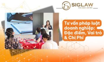 tu van phap luat doanh nghiep Dịch vụ tư vấn pháp luật doanh nghiệp chỉ từ 5.000.000 VNĐ