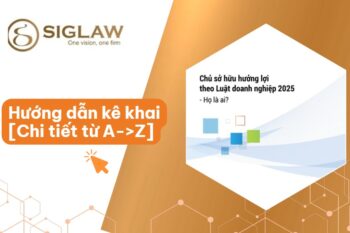 Hướng dẫn kê khai chủ sở hữu hưởng lợi của doanh nghiệp