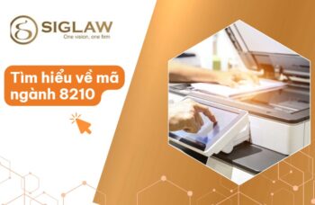 Mã ngành 8210 Hoạt động hành chính và hỗ trợ văn phòng