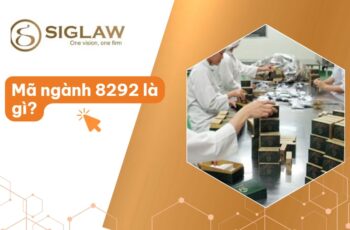 Mã ngành 8292 Dịch vụ đóng gói, đóng chai, dán tem...